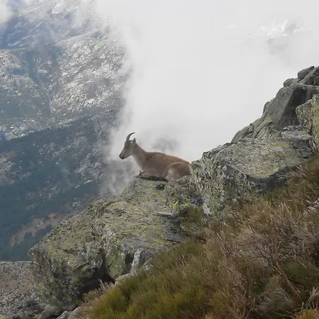 度假居 厄尔海拉古度假屋