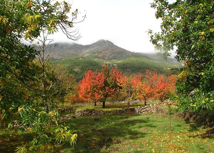 Casa El Herragu بيت للعطل