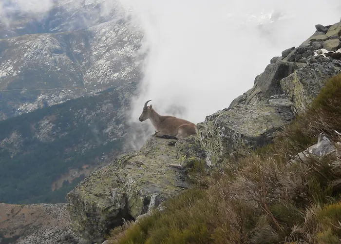 بيت للعطل Casa El Herragu