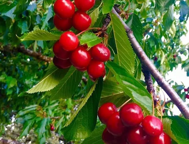 بيت للعطل Casa El Herragu